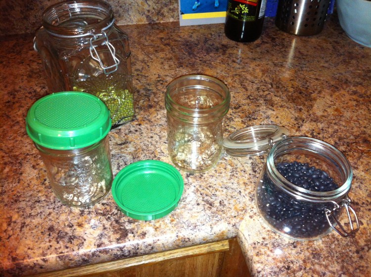 My new dietary (life) approach