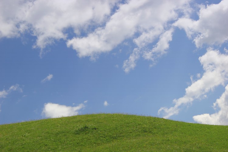 Everyone needs to put the environment in the forefront.