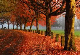 It isn't always easy but it's always worth it